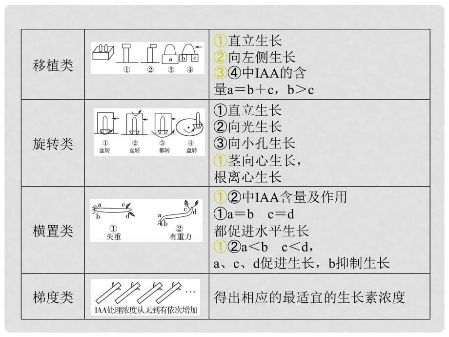 最新高考一轮详细复习 生长素的发现及生理作用、其他植物激素（考点透析+典例跟踪详解+实验导航大题专训）课件 新人教版_第5页