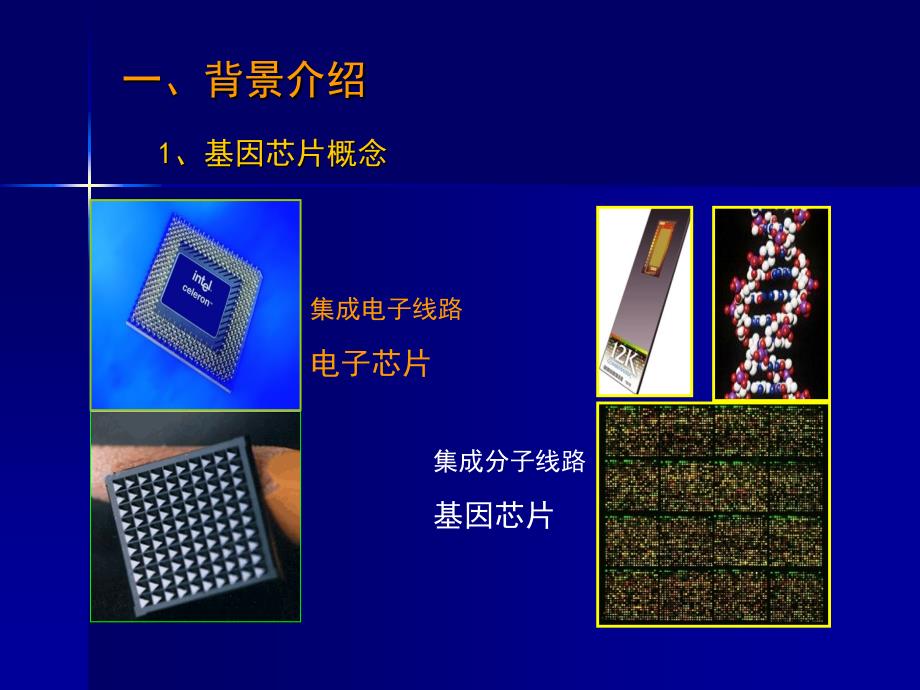 基因芯片技术及其应用_第3页