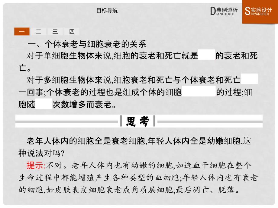 高中生物 第六章 细胞的生命历程 6.3 细胞的衰老和凋亡课件 新人教版必修1_第3页