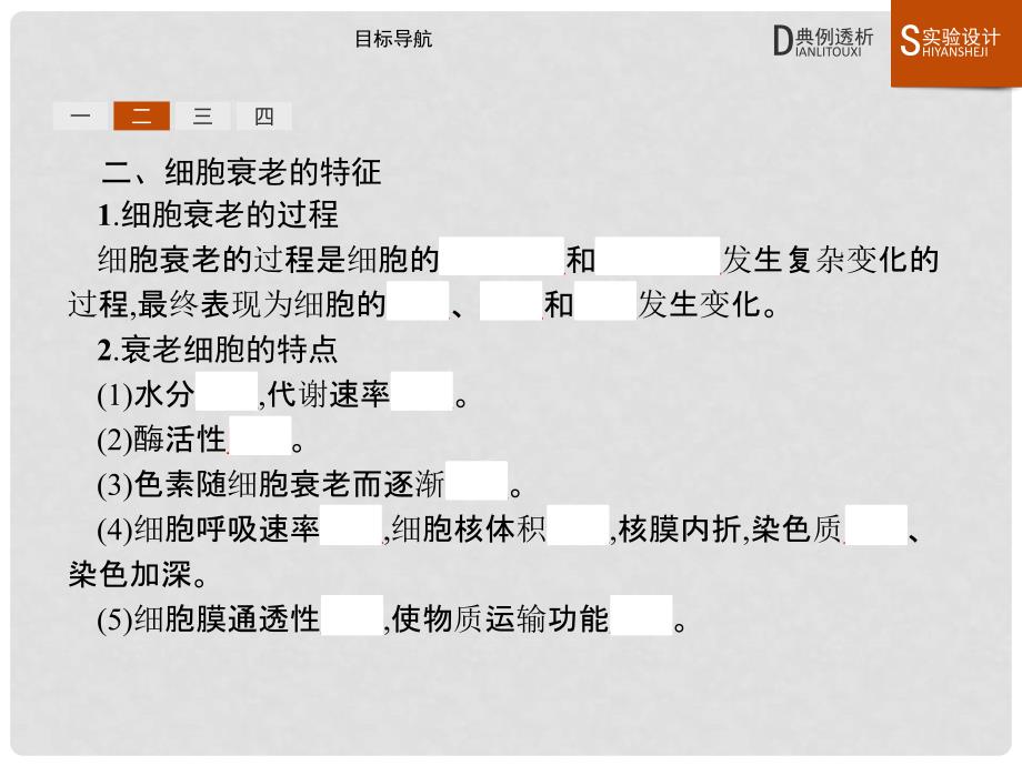 高中生物 第六章 细胞的生命历程 6.3 细胞的衰老和凋亡课件 新人教版必修1_第4页