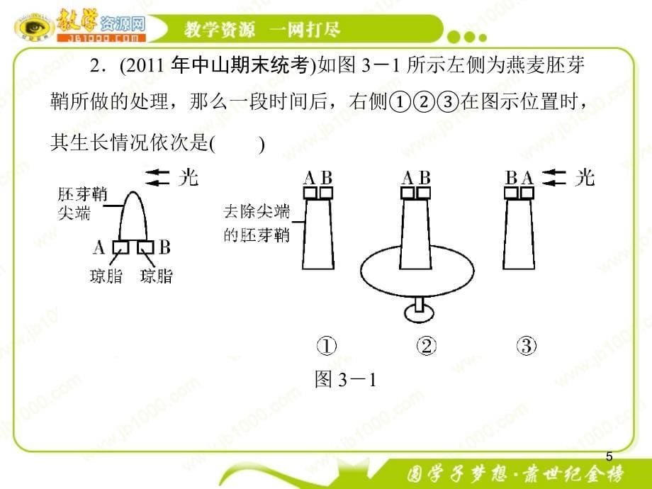 生物第三章植物的激素调节单元提升课件新人教版必修3_第5页