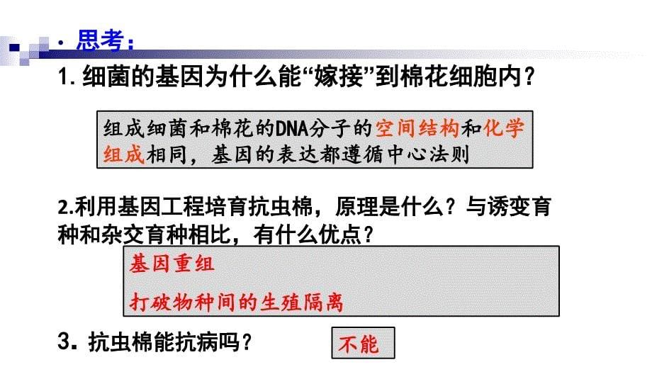 1.3基因工程的应用_第5页