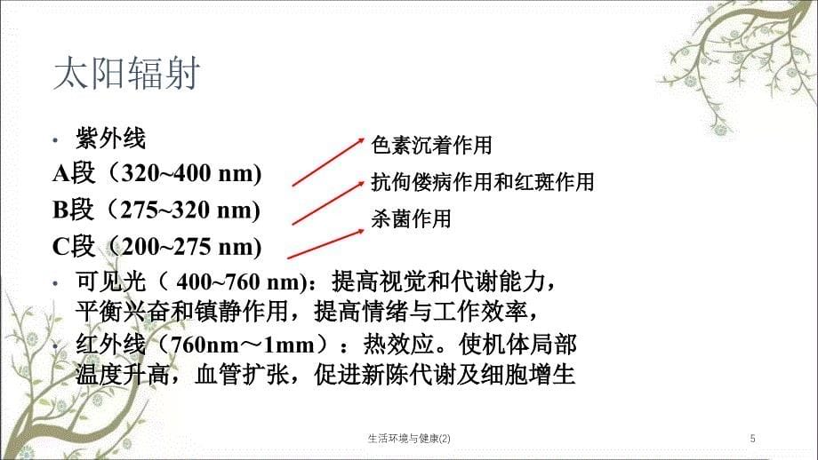 生活环境与健康2课件_第5页