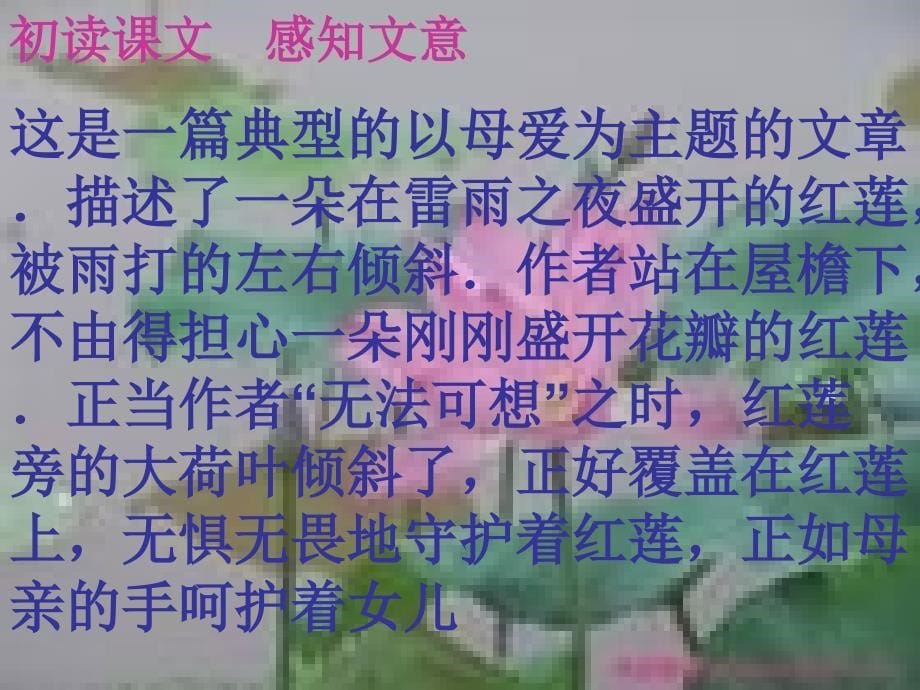 荷叶母亲 (5)_第5页