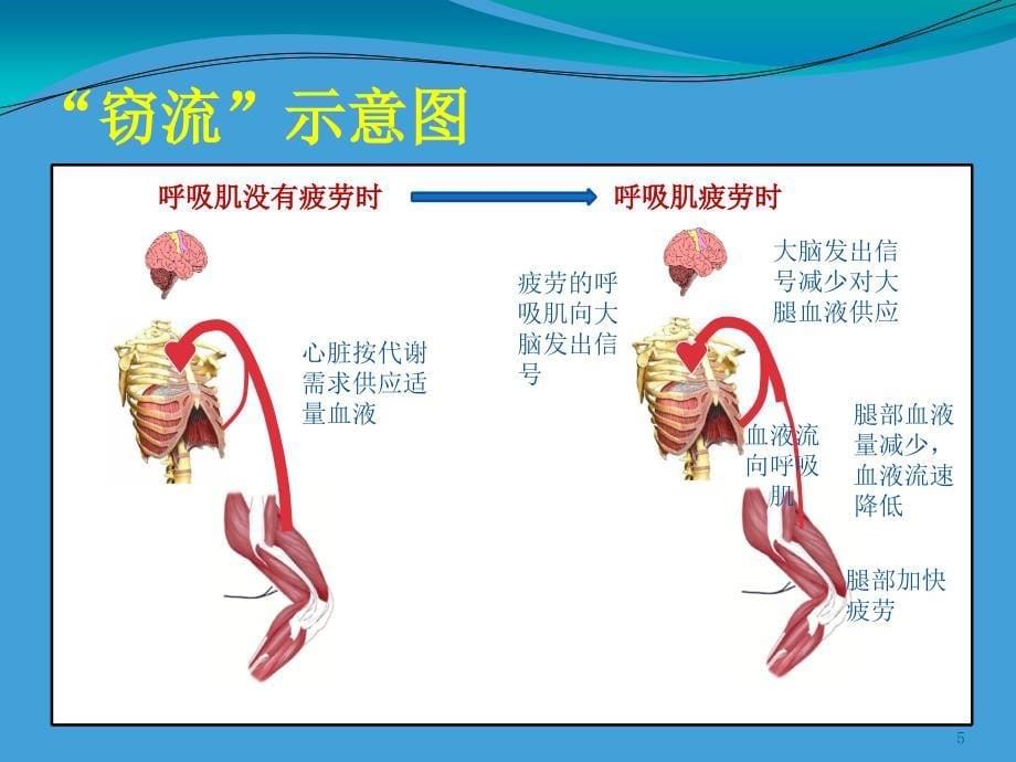 肺功能评估与训练的意义_第5页