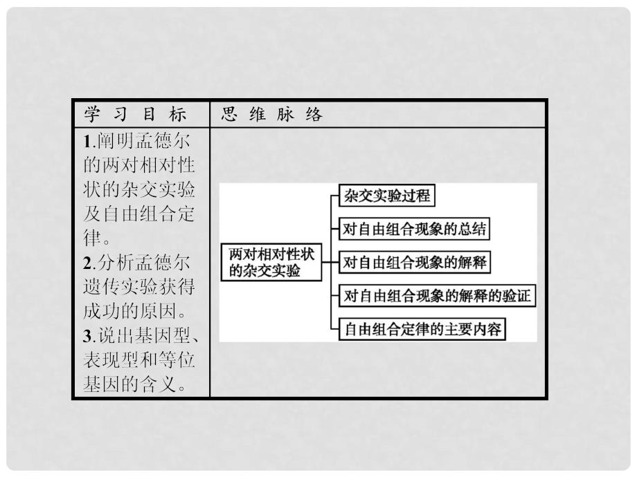 高中生物 1.2 孟德尔的豌豆杂交实验（二）课件 新人教版必修2_第2页