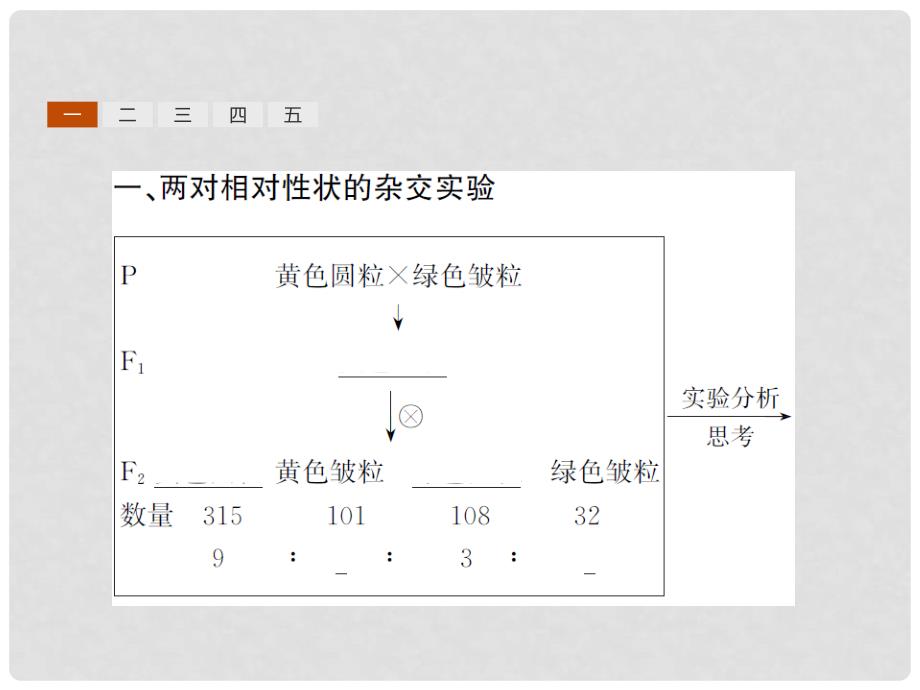 高中生物 1.2 孟德尔的豌豆杂交实验（二）课件 新人教版必修2_第3页