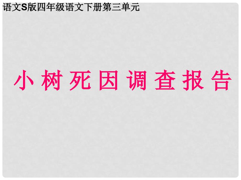 四年级语文下册 小树死因调查报告2课件 语文S版_第1页