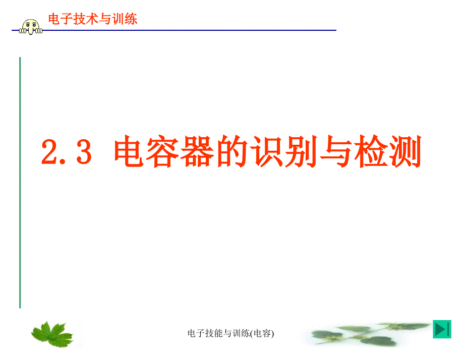 电子技能与训练电容课件_第1页