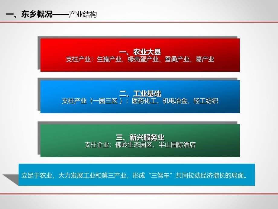 江西抚州东乡县市场调研与投资建议34页_第5页