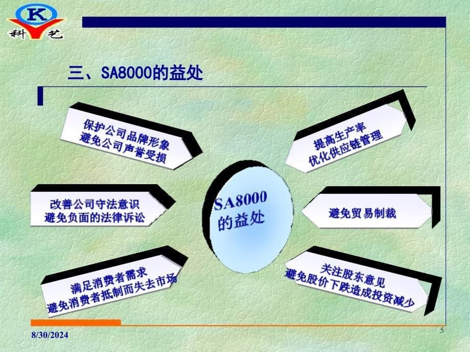 sa8000社会责任管理体系标准培训_第5页