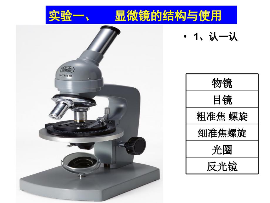 高中生物必修一实验归纳_第3页