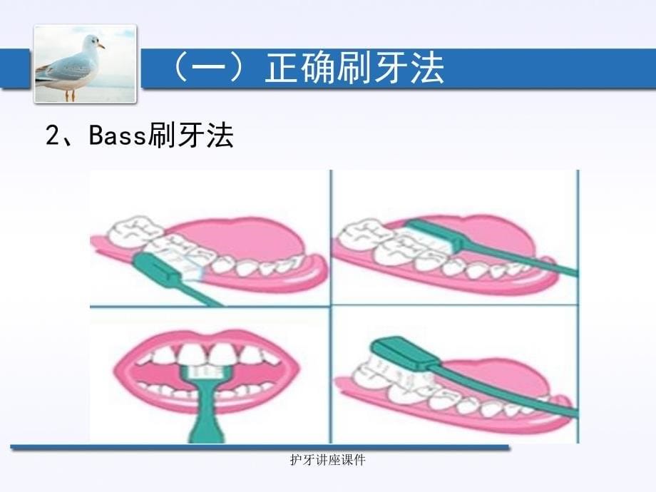 护牙讲座课件_第5页