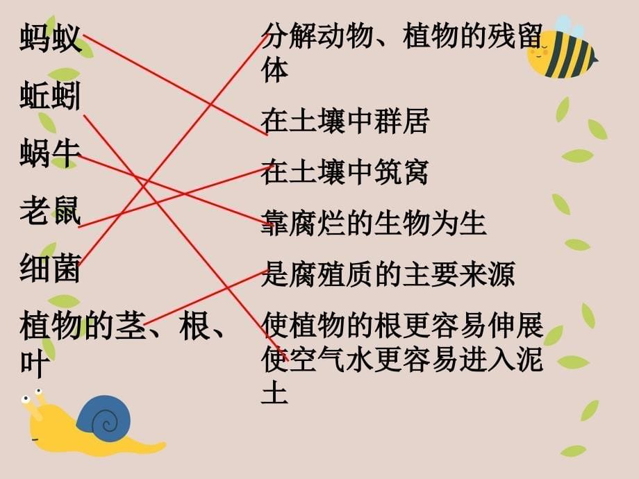 五年级科学上册3.5雨水对土地的侵蚀课件1教科版教科版小学五年级上册自然科学课件_第5页