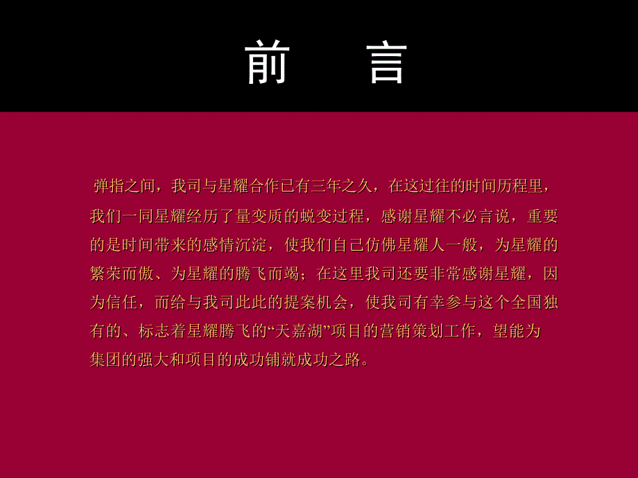 房地产项目营销策划方案_第2页