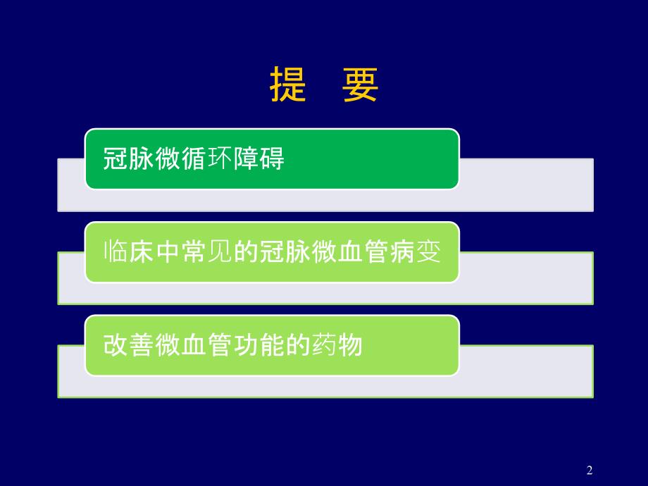 小讲课冠脉微血管病变.ppt_第2页