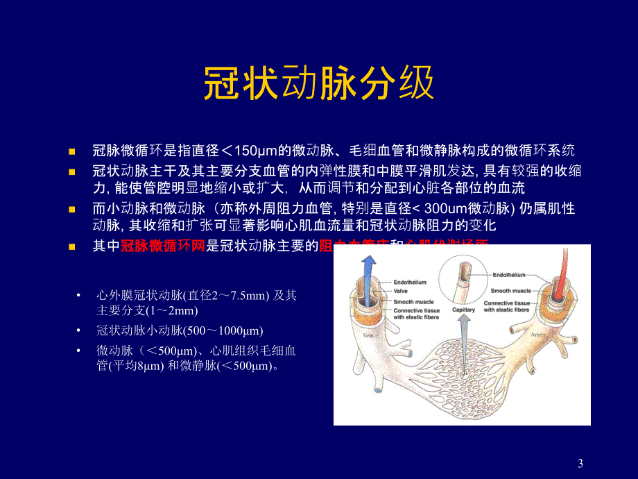 小讲课冠脉微血管病变.ppt_第3页