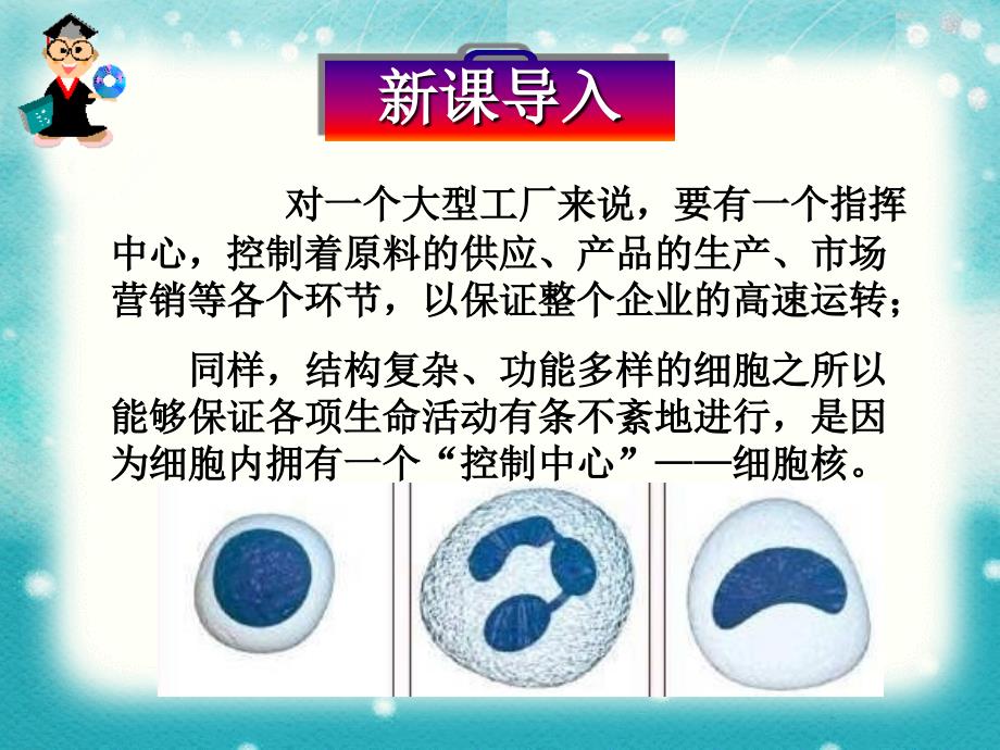 人教版高中生物必修一33细胞核课件_第1页