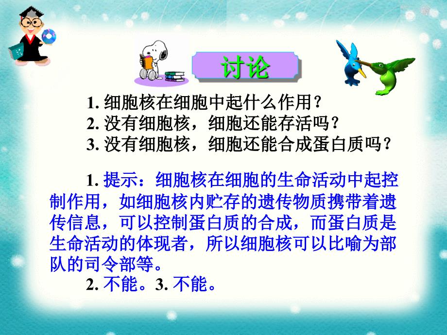 人教版高中生物必修一33细胞核课件_第2页