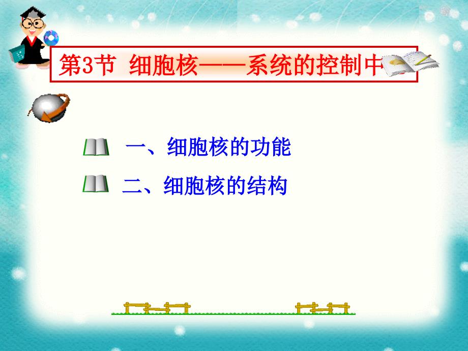 人教版高中生物必修一33细胞核课件_第3页