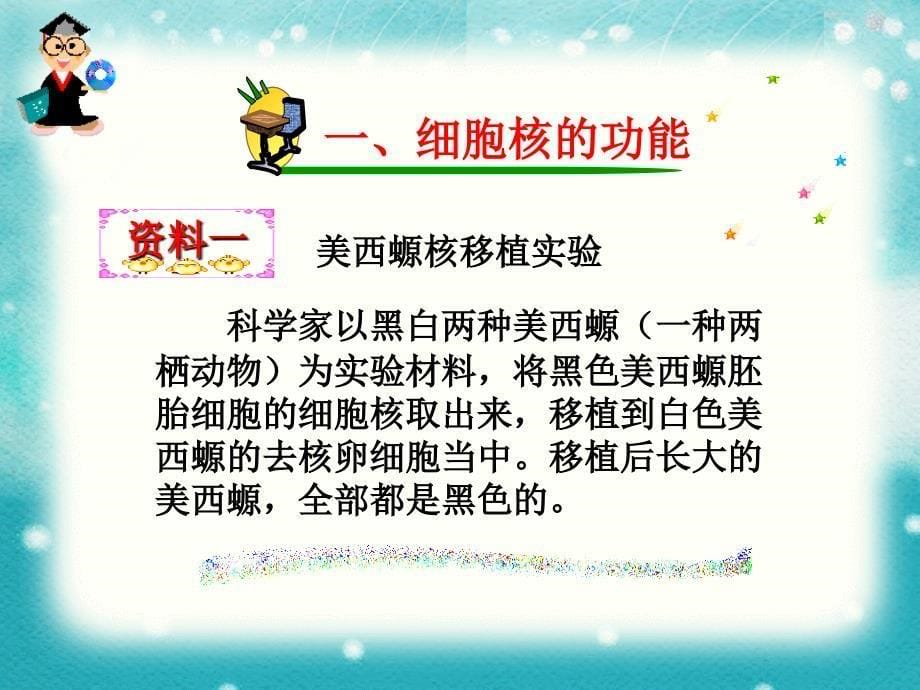 人教版高中生物必修一33细胞核课件_第5页