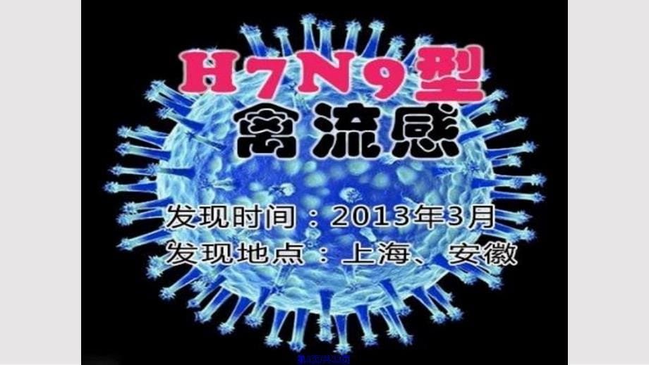 HN禽流感的预防和治疗主题班会实用教案_第5页