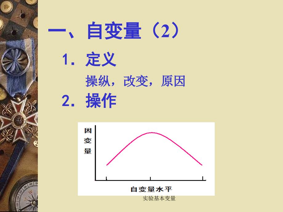 实验基本变量课件_第4页