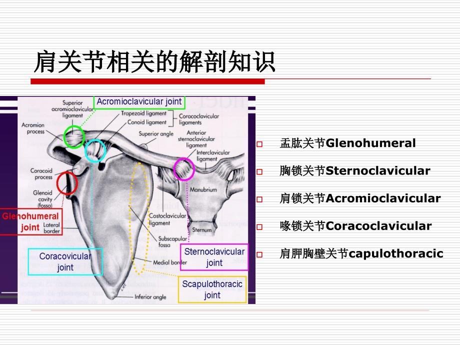 脑卒中后偏瘫肩痛的预防和治疗胡斌_第4页