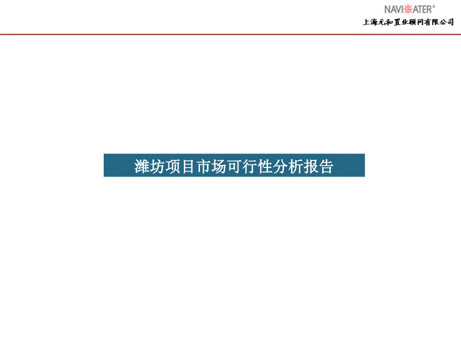 潍坊项目市场可行性分析报告_第1页