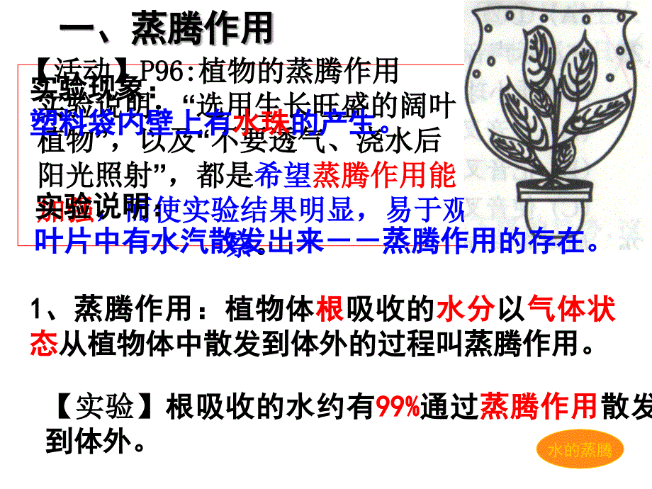 《叶子的蒸腾作用》PPT课件.ppt_第3页