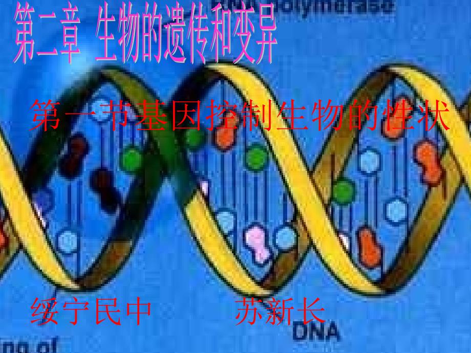 第二章第一节基因控制生物的性状_第1页