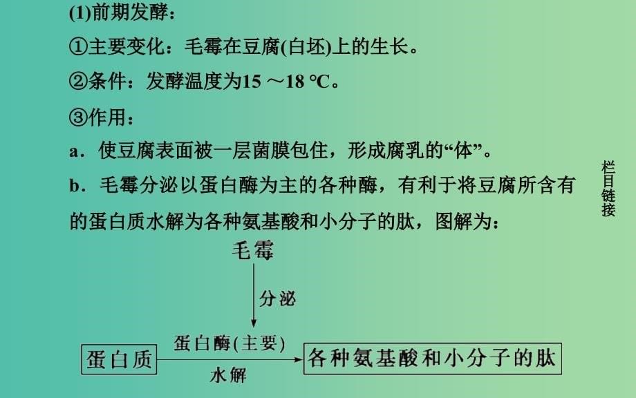 高中生物 专题1 课题2 腐乳的制作课件 新人教版选修1.ppt_第5页