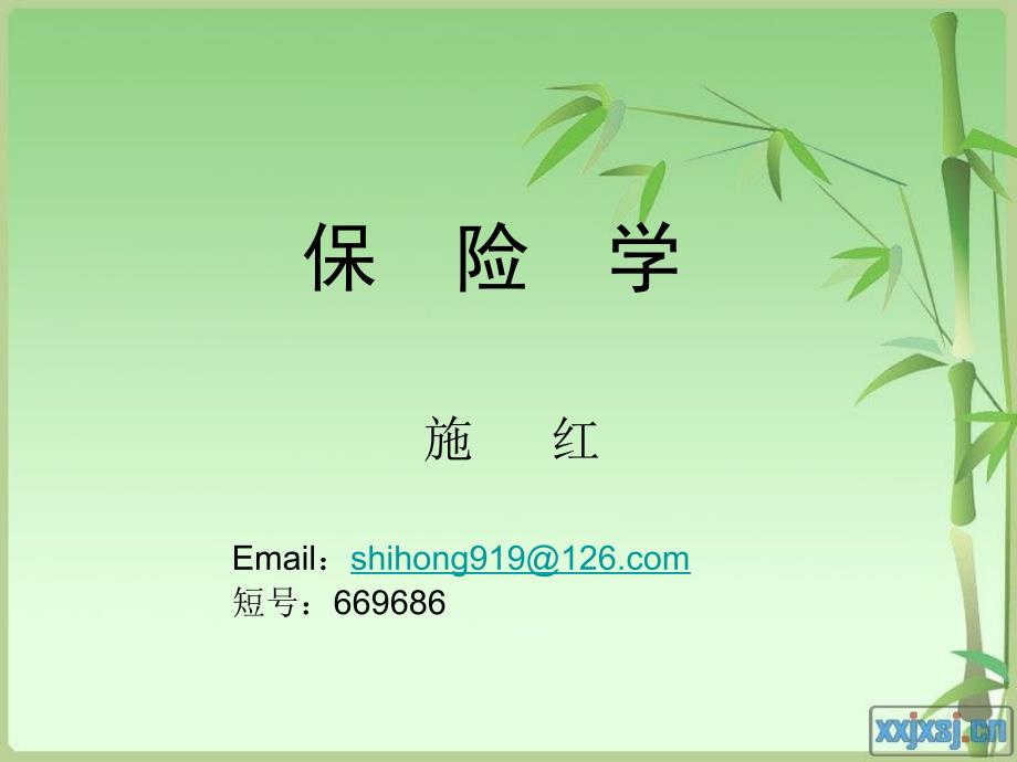 《风险管理与保险》PPT课件.ppt_第1页