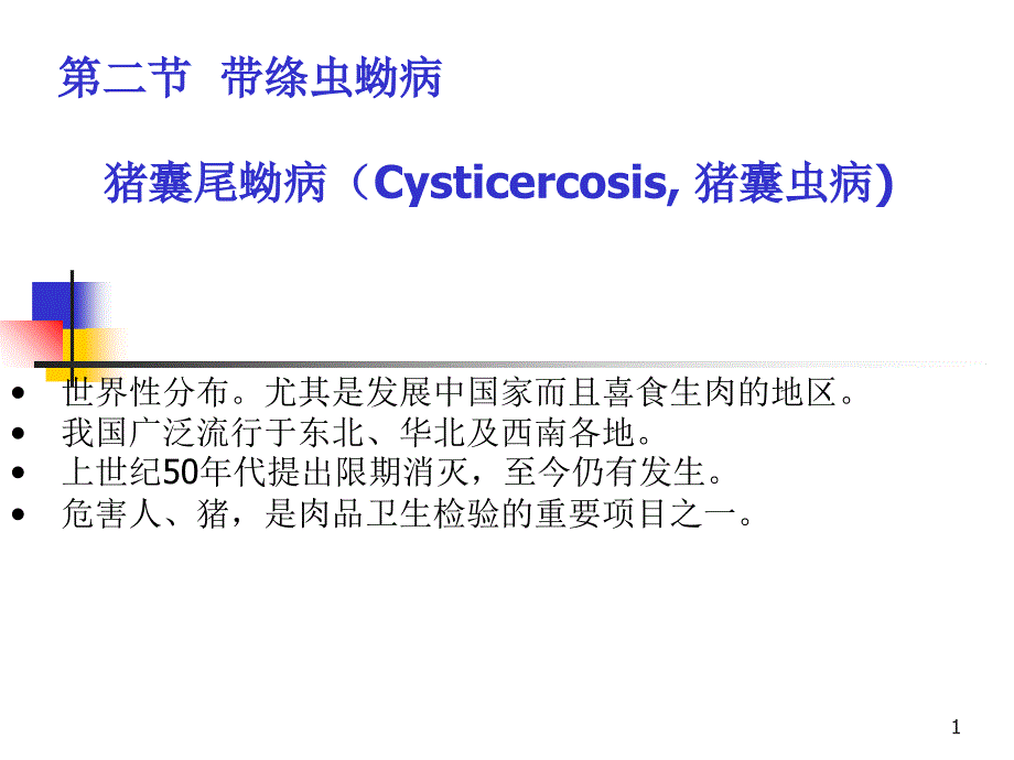 绦虫病带绦虫蚴病_第1页