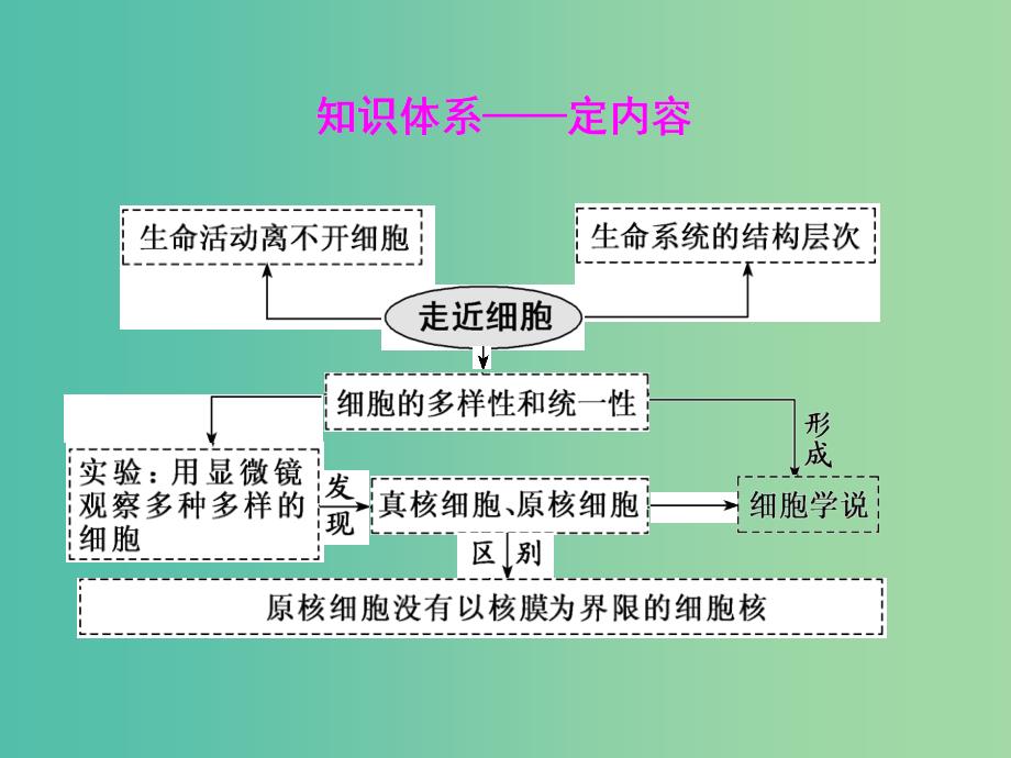 高考生物一轮复习第一单元细胞及其分子组成第一讲走近细胞精盐件.ppt_第3页