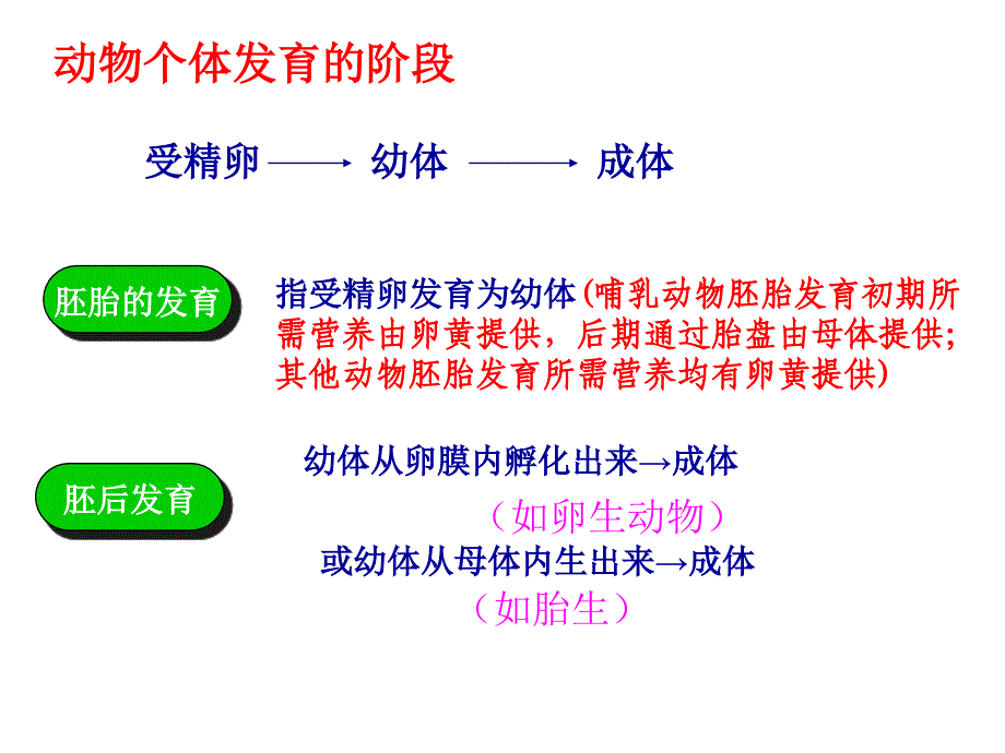 动物的个体发育09_第2页