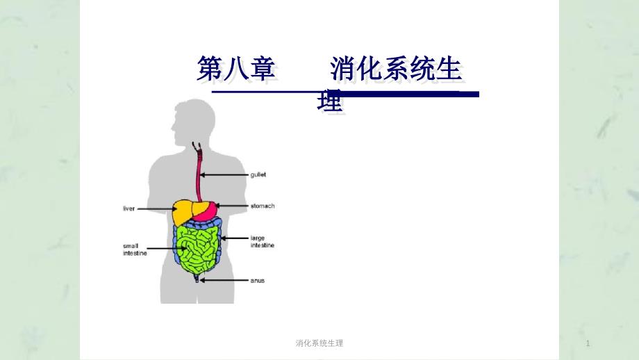 消化系统生理课件_第1页