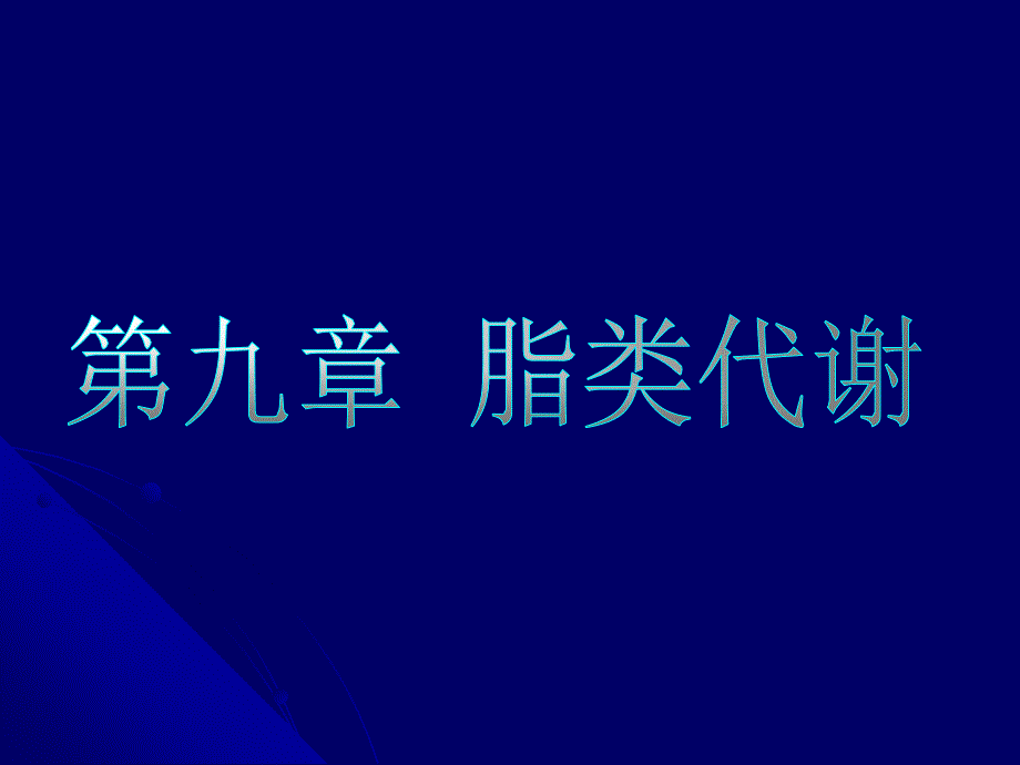 《生物化学脂类代谢》PPT课件_第1页