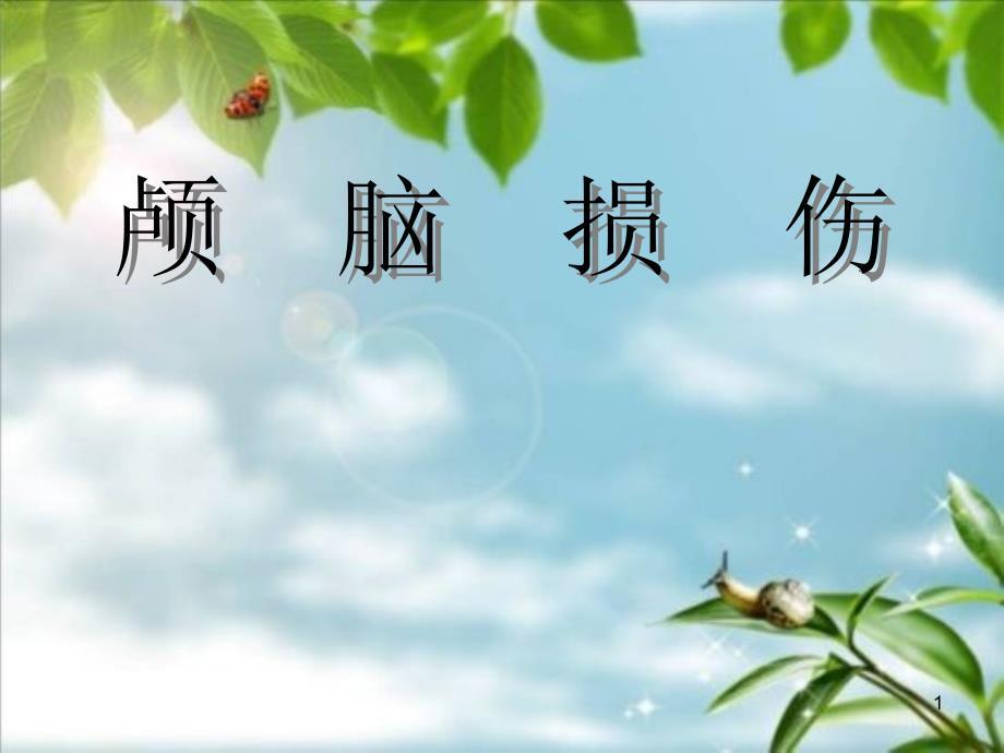 颅脑损伤的护理ppt课件