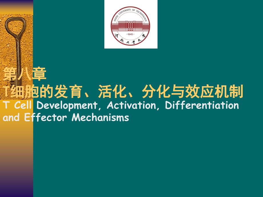 免疫学 第8章 T细胞发育、活化、分化与效应机制_第1页