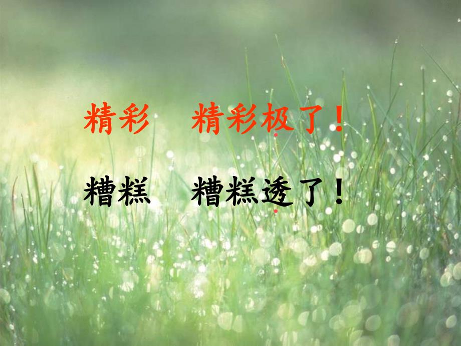 精彩极了和糟糕透了课件_第1页