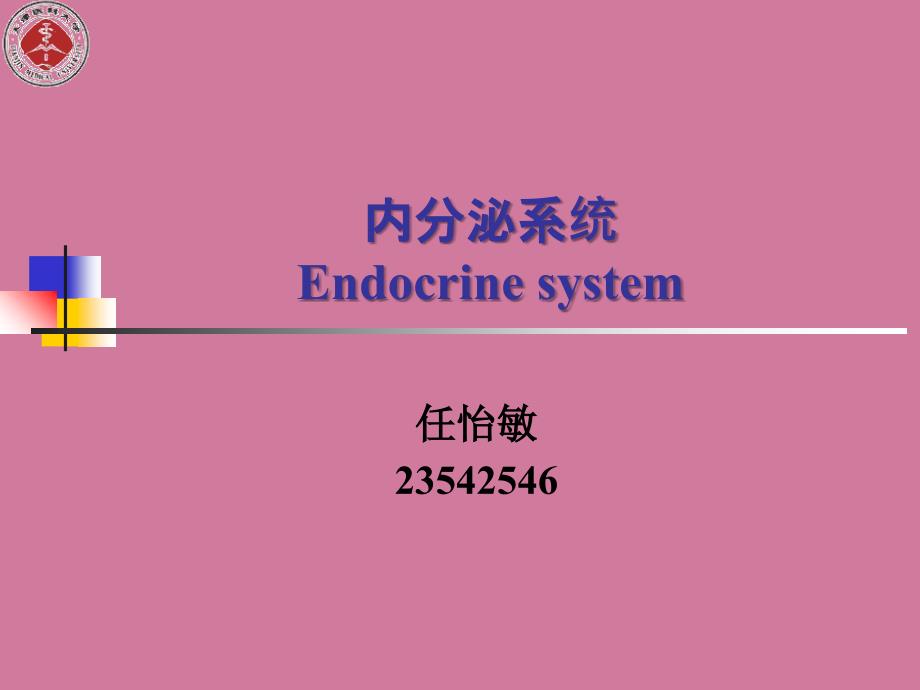 组织学与胚胎学第13章内分泌系统ppt课件_第1页