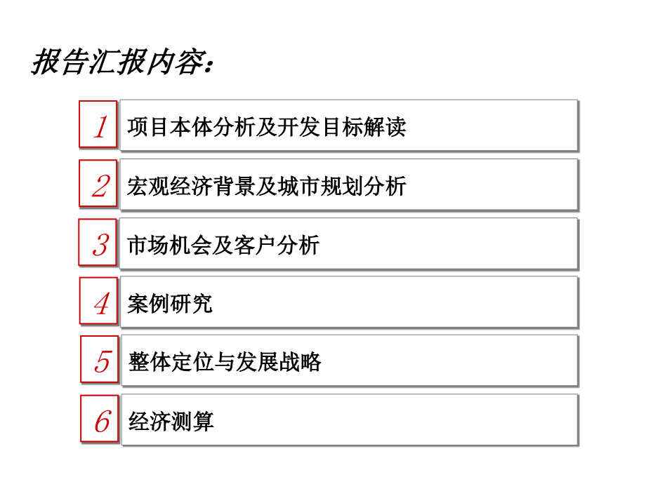 科技谷项目整体定位报告_第2页