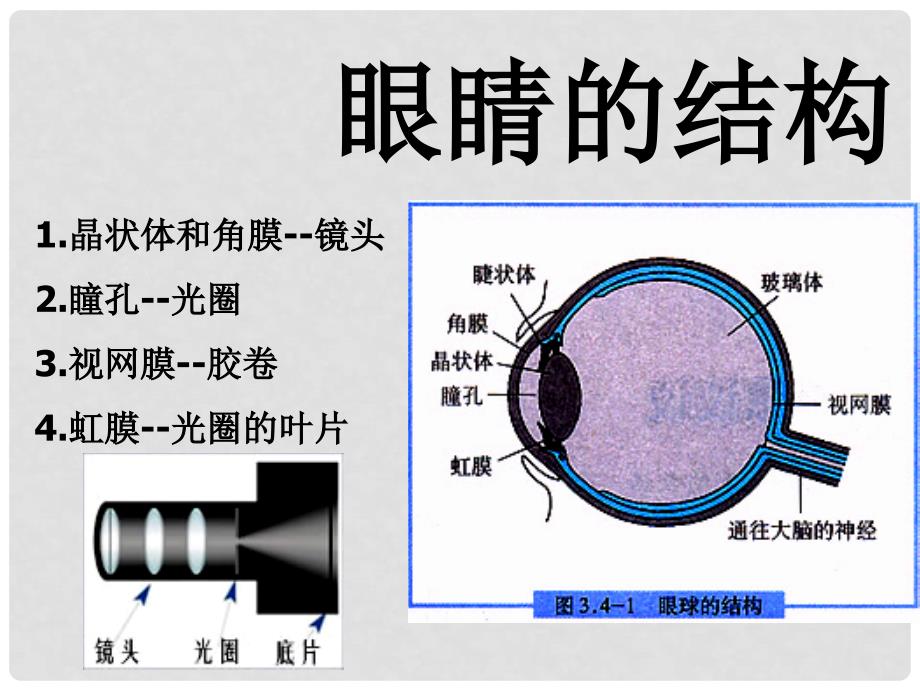 河南省开封县西姜寨乡第一初级中学八年级物理上册 5.4 眼睛和眼镜课件6 （新版）新人教版_第3页