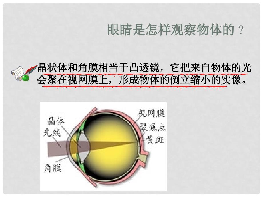 河南省开封县西姜寨乡第一初级中学八年级物理上册 5.4 眼睛和眼镜课件6 （新版）新人教版_第4页