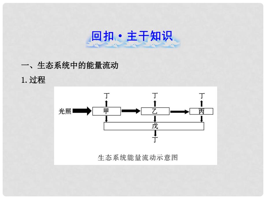 《生态系统的稳态》课件（1）_第2页