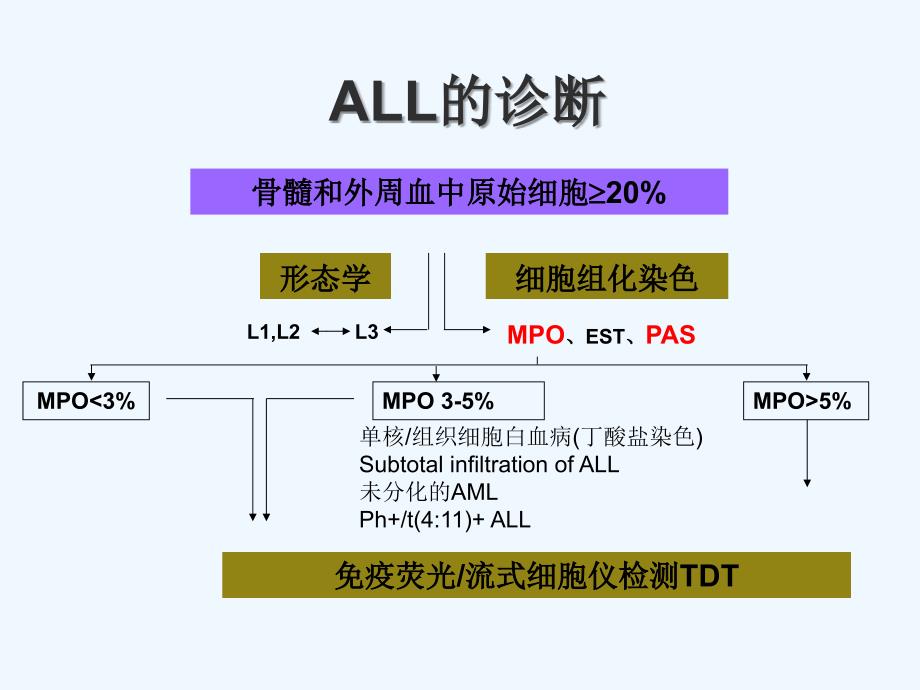 成人急性淋巴细胞白血病的规范化治疗课件_第4页