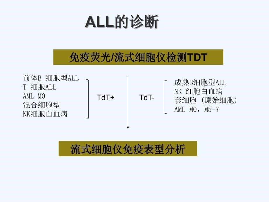 成人急性淋巴细胞白血病的规范化治疗课件_第5页