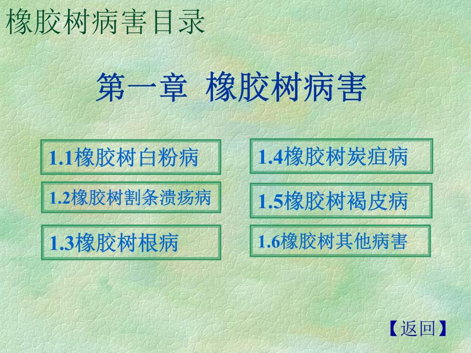 热带植物病害部分-热带农业植物病理学-海南大学_第3页