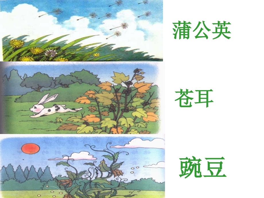 小学语文二年级上册《植物妈妈有办法》_第4页